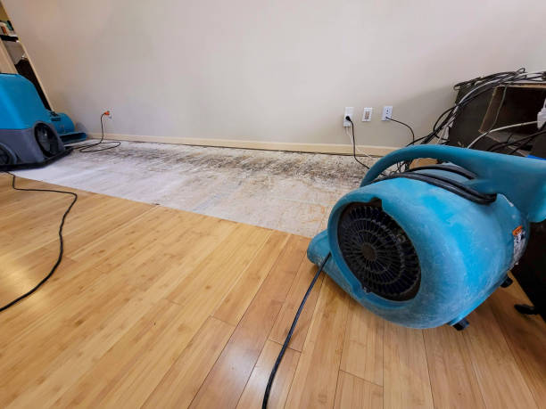 Professional Water Removal technician working in Fayetteville, AR